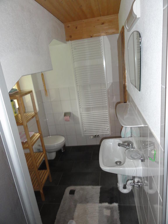 Au (Vorarlberg)Haus Agnesアパートメント エクステリア 写真